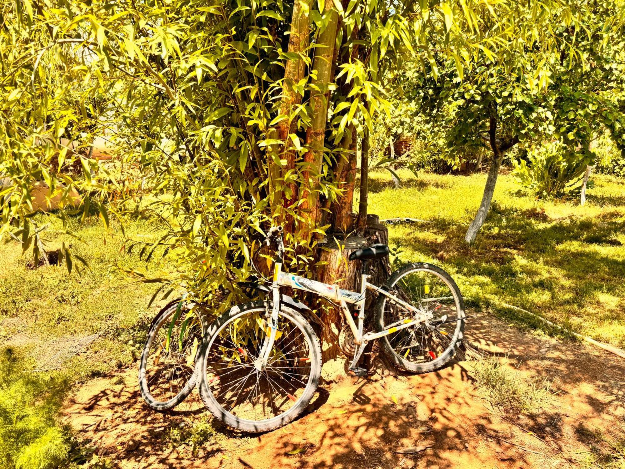 Eco House Summer Garden Kaji-Say Zewnętrze zdjęcie